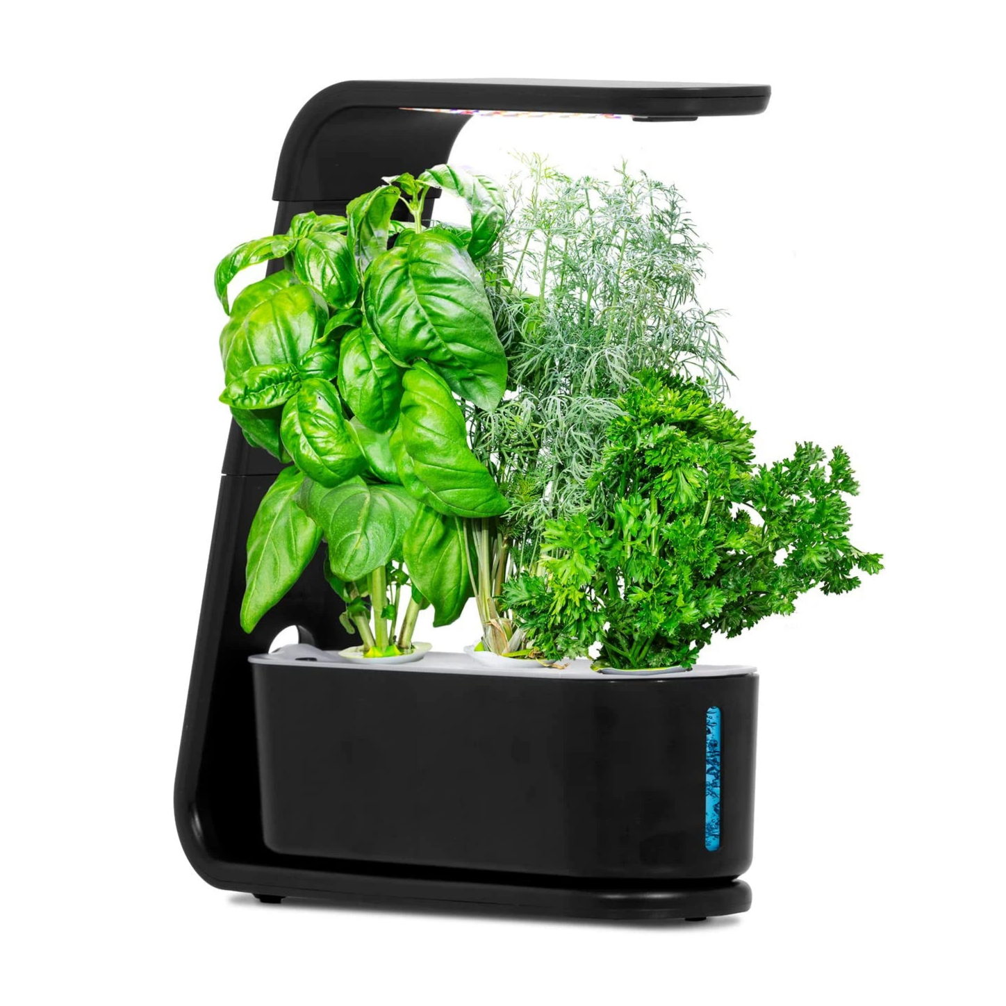 Hydroponics Plant Growing System